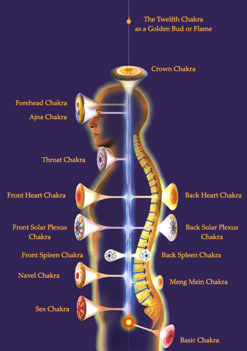 Chakras-and-their-functions (1)